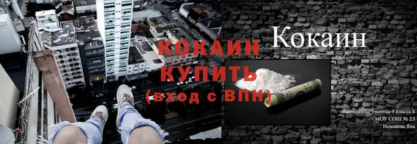 сатива Армянск